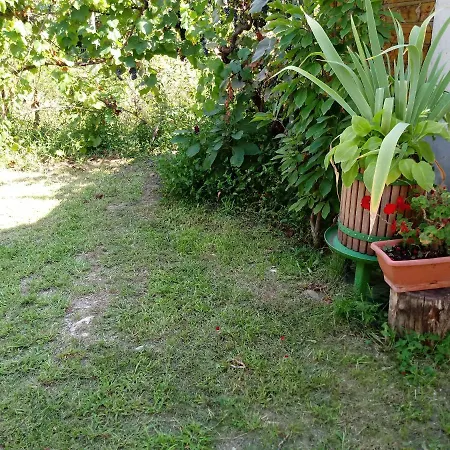 Pintyoke Vendeghaz Toserdo *