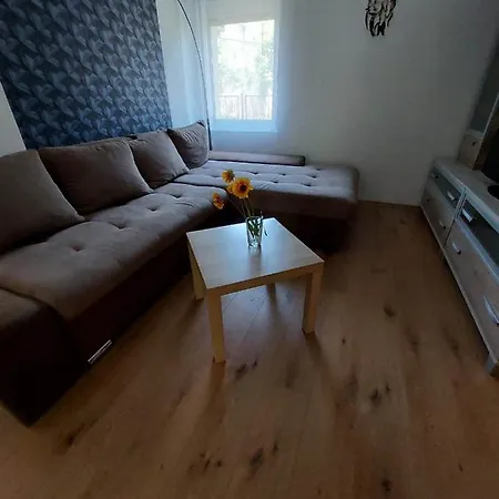 Pintyoke Vendeghaz Toserdo Daire