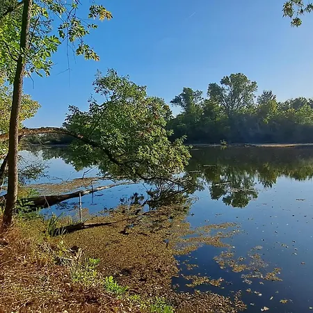 Daire Pintyoke Vendeghaz Toserdo