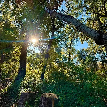 Pintyoke Vendeghaz Toserdo * Lakitelek