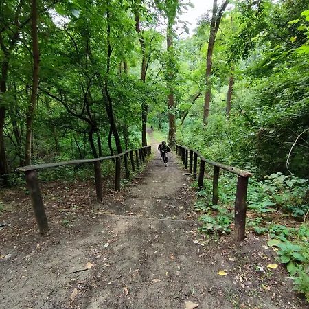 Daire Pintyoke Vendeghaz Toserdo *