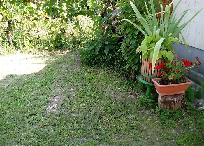 Pintyőke Tőserdő *